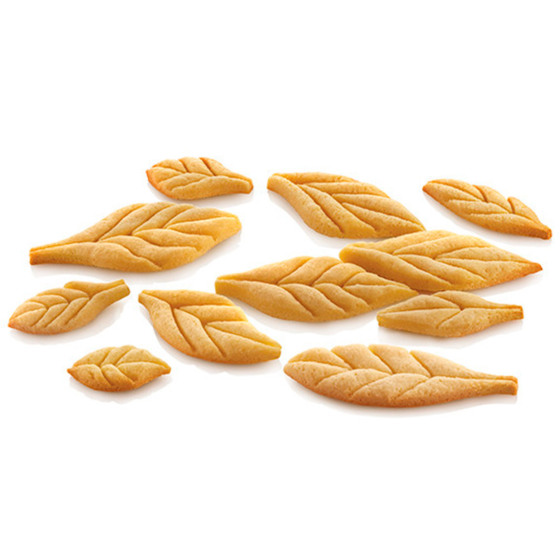 Product fwd-000034319 Image