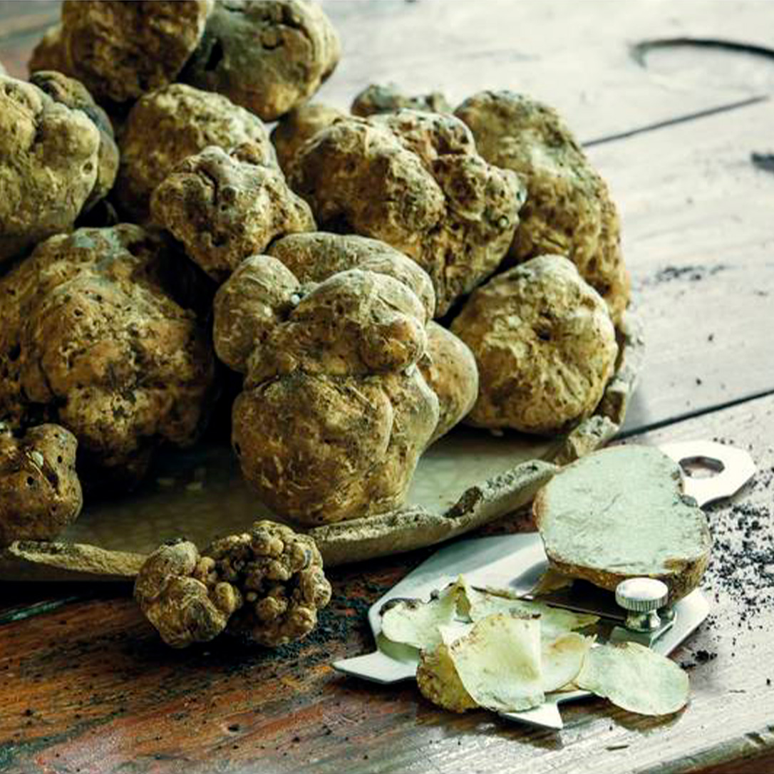 Product fwd-000001847 Image