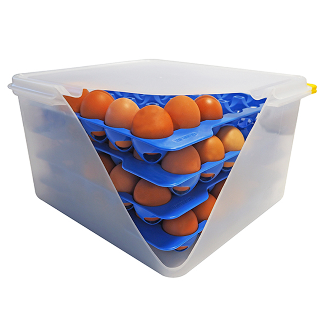 Product fwd-000037251 Image