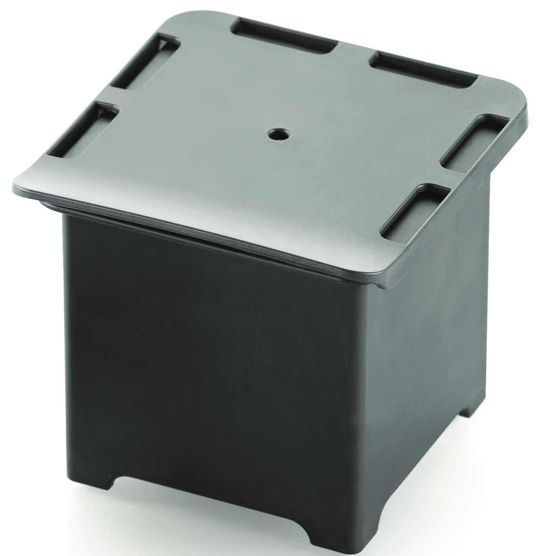 Product fwd-000038256 Image