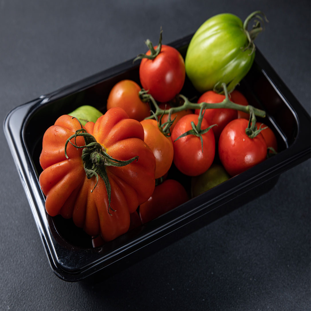 Product fwd-000033855 Image