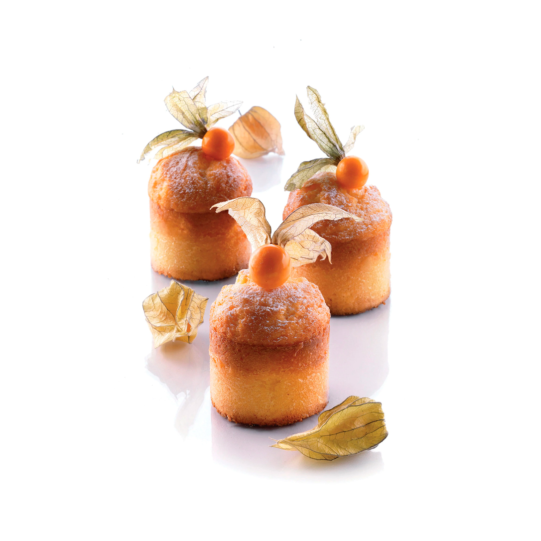 Product fwd-000023910 Image