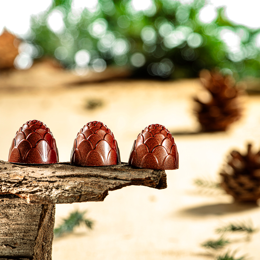 Product fwd-000038459 Image