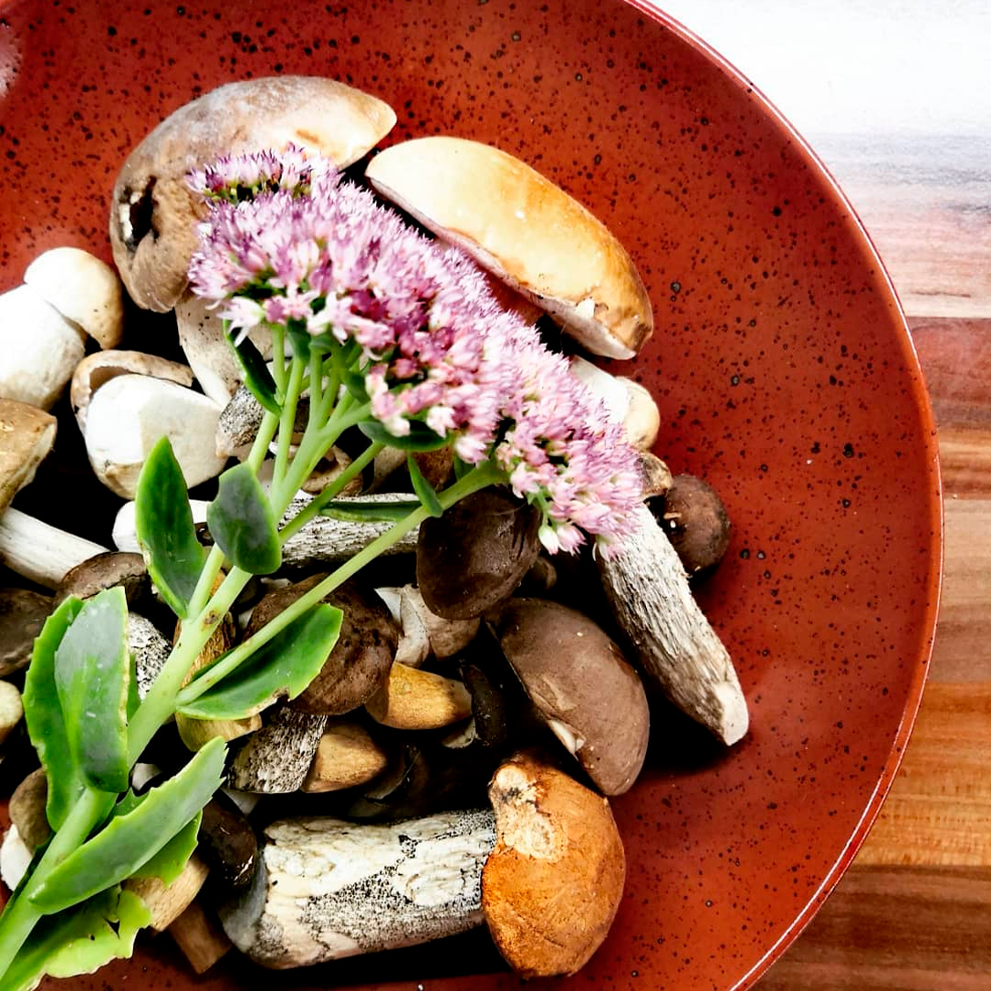 Product fwd-000027023 Image