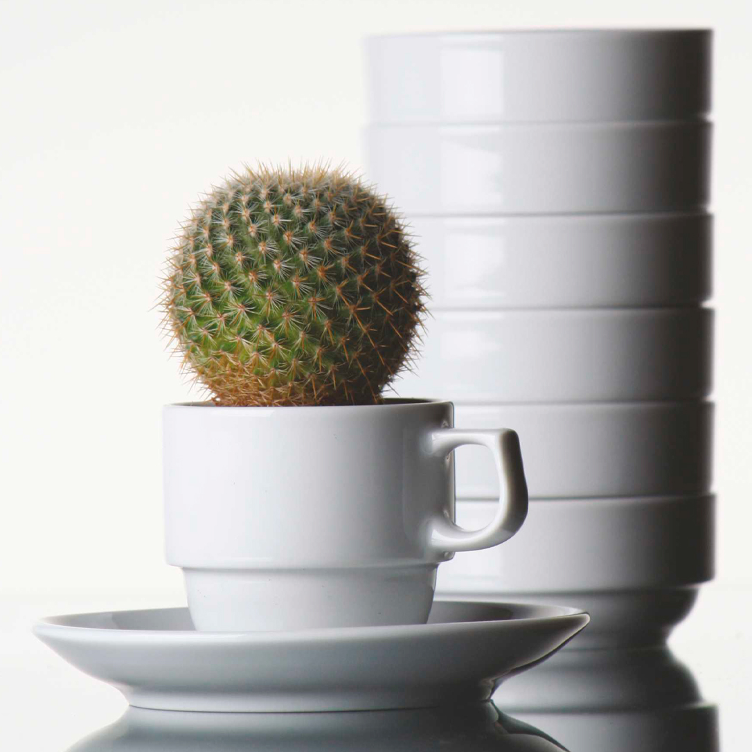 Product fwd-000021509 Image