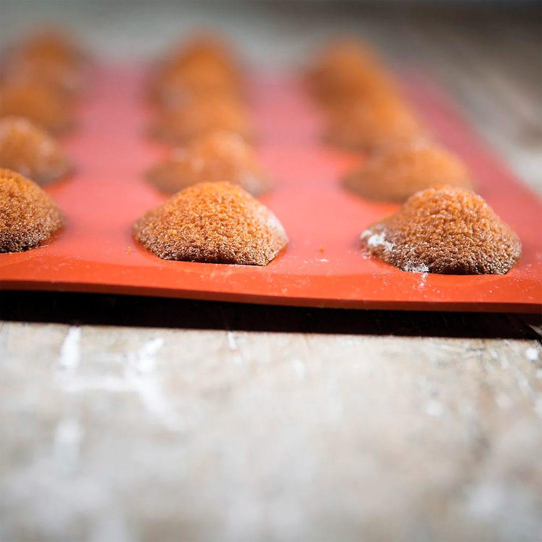 Product fwd-000007341 Image