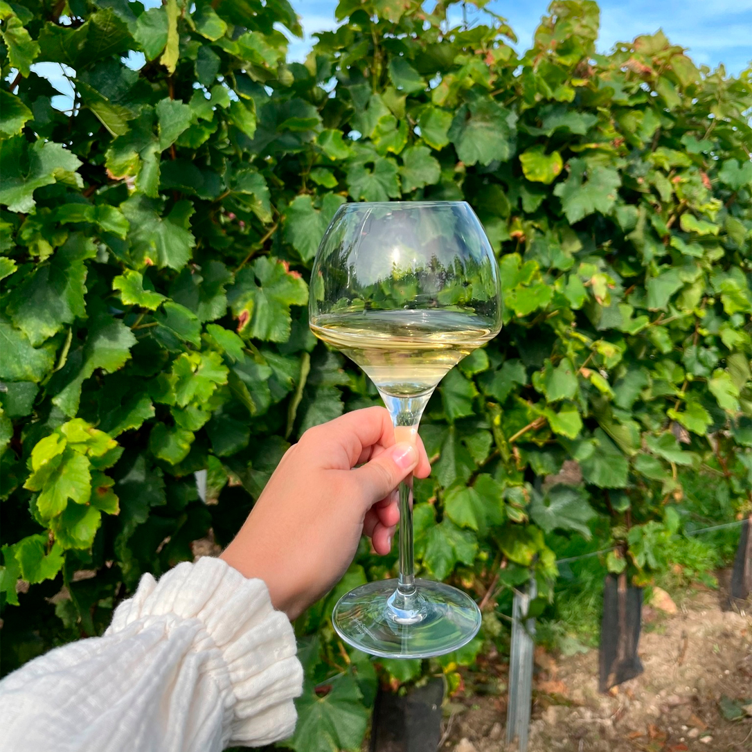 Product fwd-000015318 Image