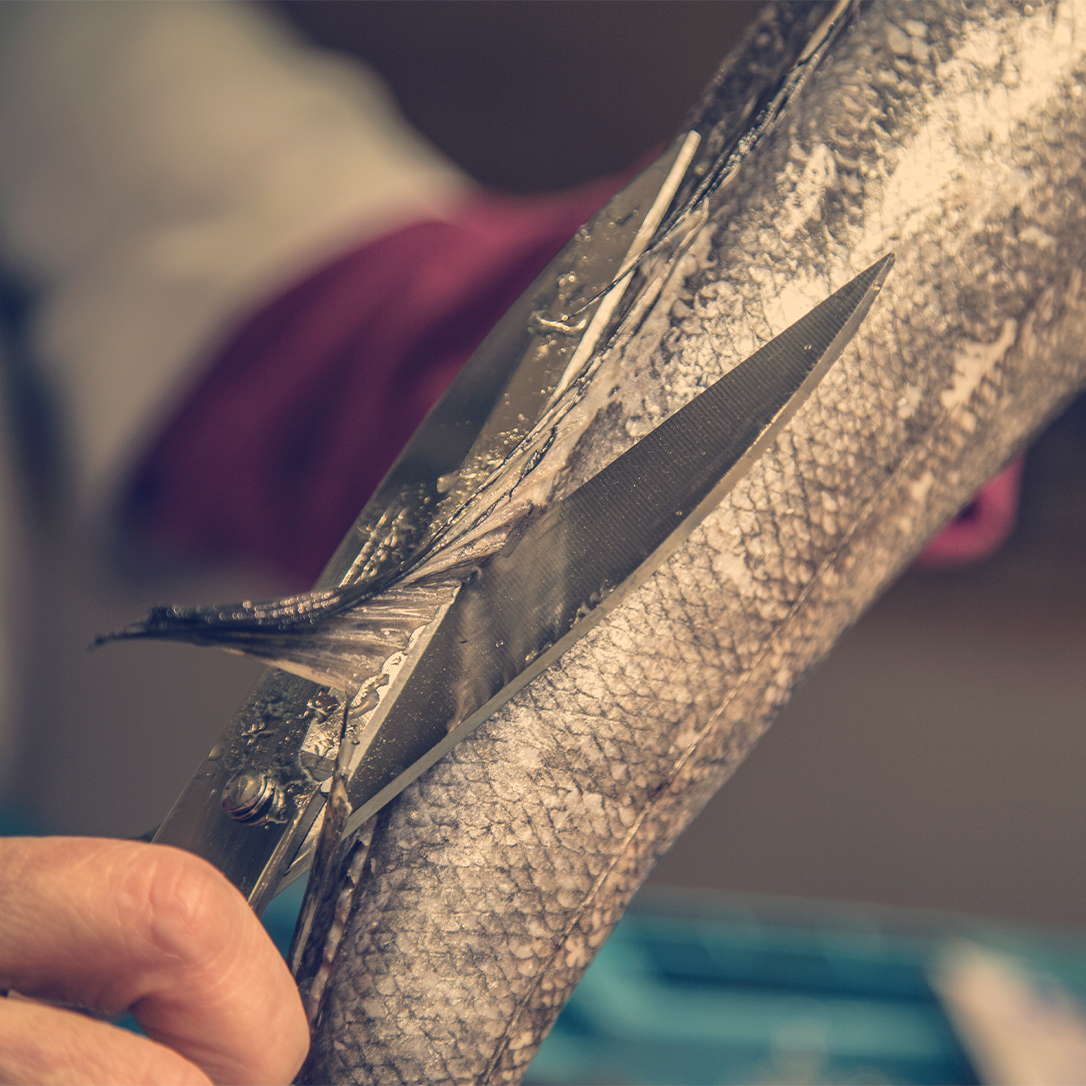 Product fwd-000004332 Image