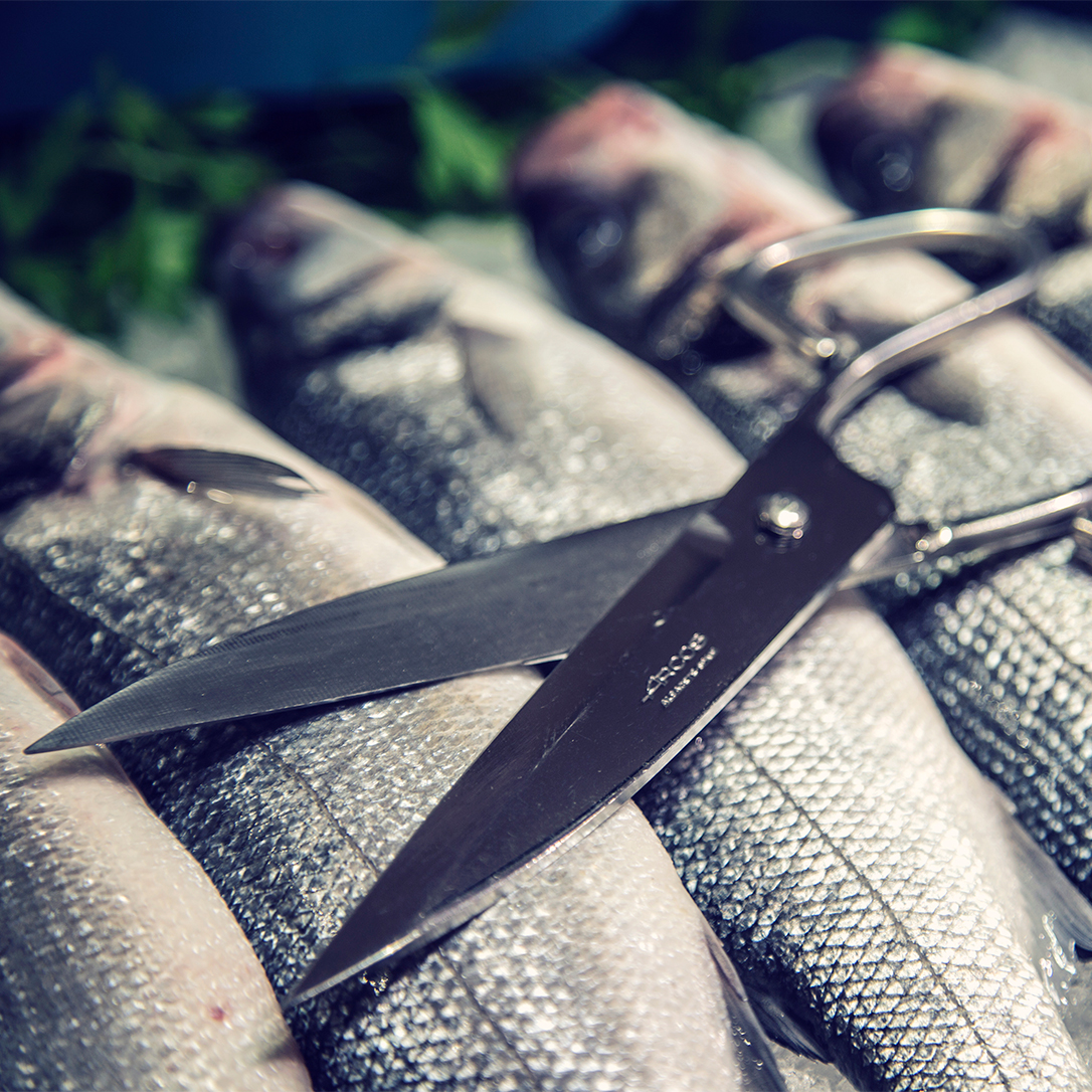 Product fwd-000010805 Image