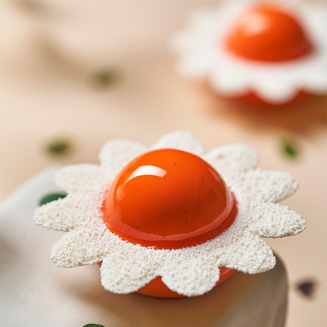 Product fwd-000037517 Image